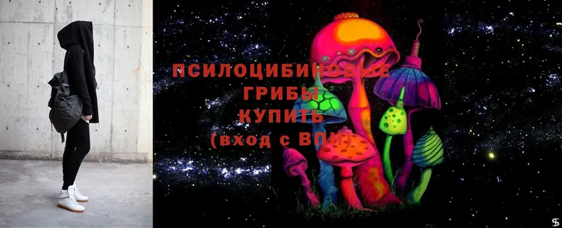 Псилоцибиновые грибы Magic Shrooms  Курлово 